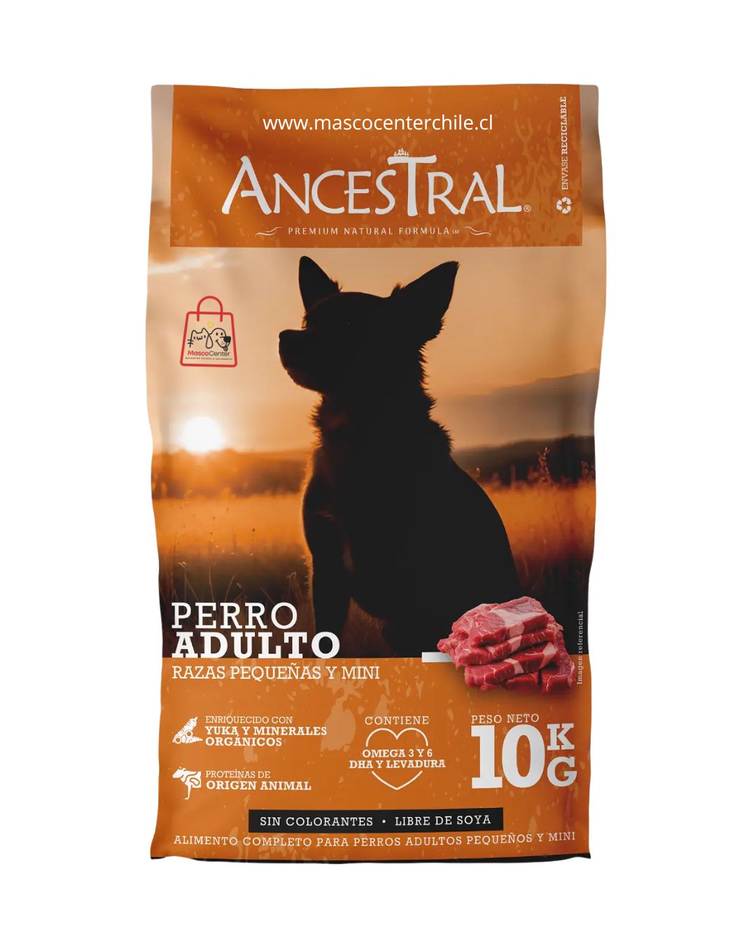 Imagen Ancestral perro Adulto raza pequeña 10 Kg.