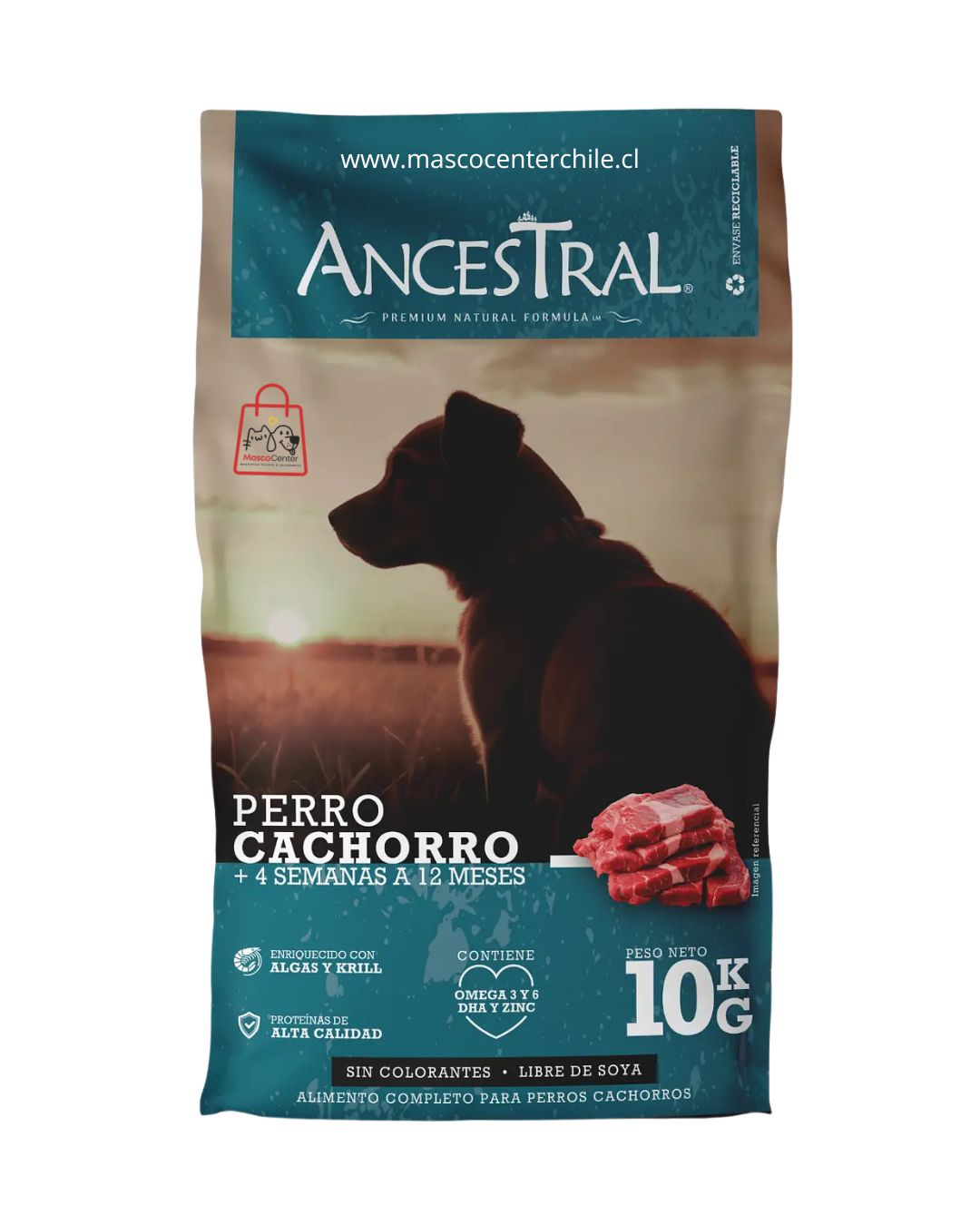 Imagen Ancestral perro cachorro raza medianagrande 10 Kg.