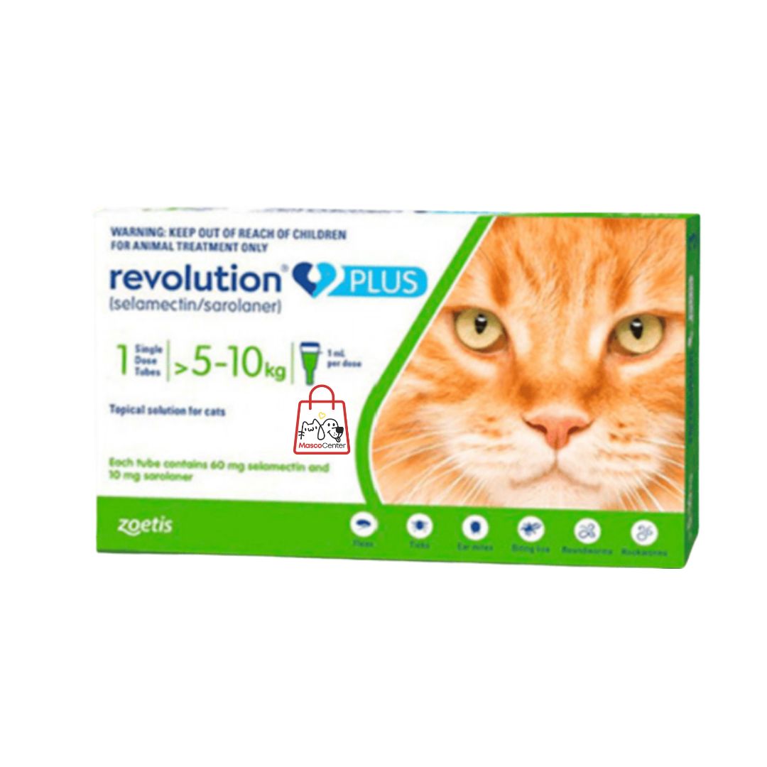 RevolutionPlus_1,0